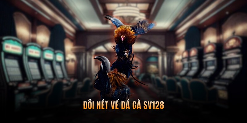 Đôi nét về đá gà SV128