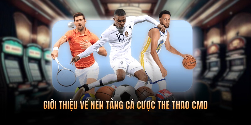 Tổng quan thông tin về nền tảng cá cược trực tuyến thể thao CMD